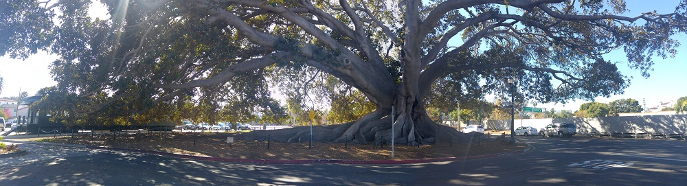 20171203_120317_Pano